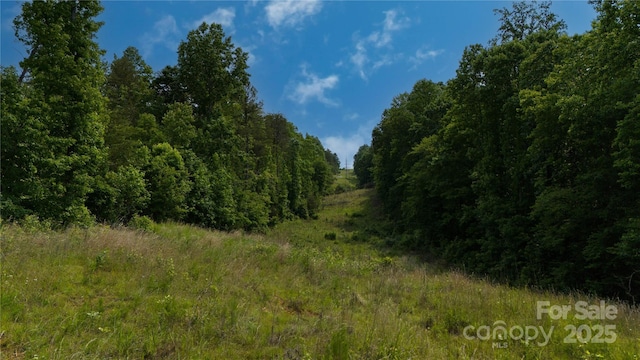LOT26 Grandview Dr Unit 26, Rutherfordton, NC 28139 - photo 20