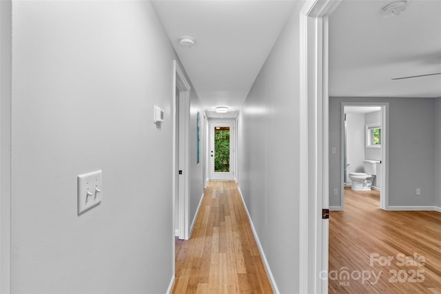 28 Reynolds School Rd, Asheville, NC 28803 - corridor featuring light wood-style floors, plenty of natural light, and baseboards