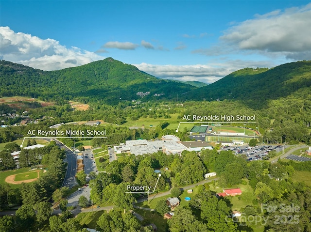 28 Reynolds School Rd, Asheville, NC 28803 - view of mountain background