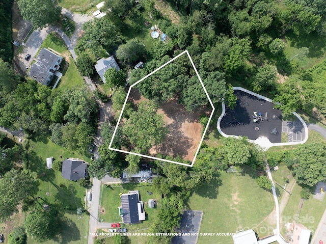 33 Reese St, Asheville, NC 28804 - photo 3