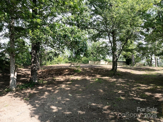 33 Reese St, Asheville, NC 28804 - photo 4