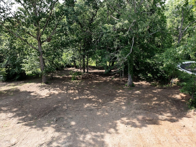 33 Reese St, Asheville, NC 28804 - photo 6