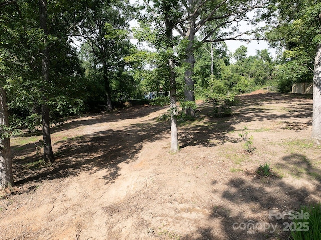 33 Reese St, Asheville, NC 28804 - photo 7