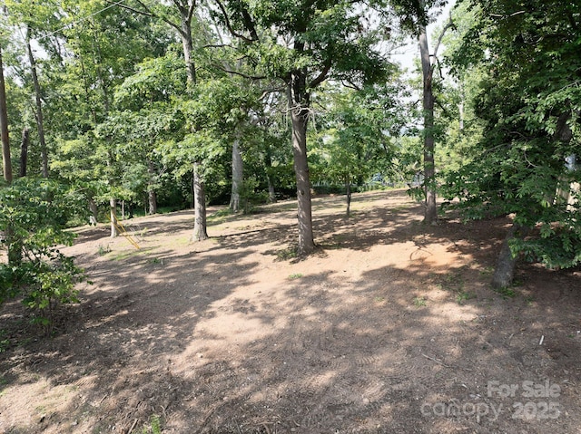 33 Reese St, Asheville, NC 28804 - photo 8