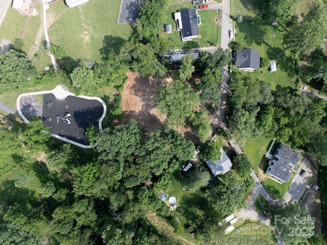 33 Reese St, Asheville, NC 28804 - photo 9