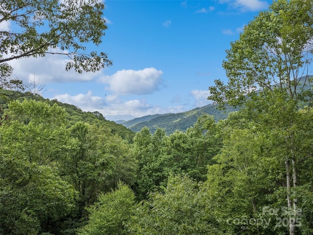 4231 Bald Creek Rd, Clyde, NC 28721 - photo 2
