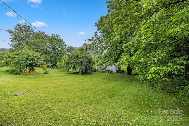 61 First St, Marion, NC 28752 - view of grassy yard
