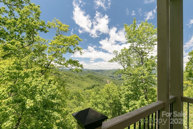 224 Logging Horse Rd Unit C/101, Burnsville, NC 28714 - photo 24
