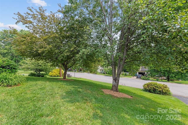 16 Fieldstone Ct, Arden, NC 28704 - view of green lawn