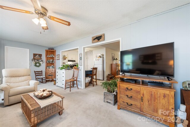 16 Fieldstone Ct, Arden, NC 28704 - living area with carpet, ceiling fan, and a textured ceiling