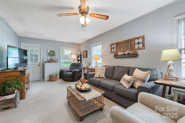 16 Fieldstone Ct, Arden, NC 28704 - living area with ceiling fan, carpet flooring, and a textured ceiling