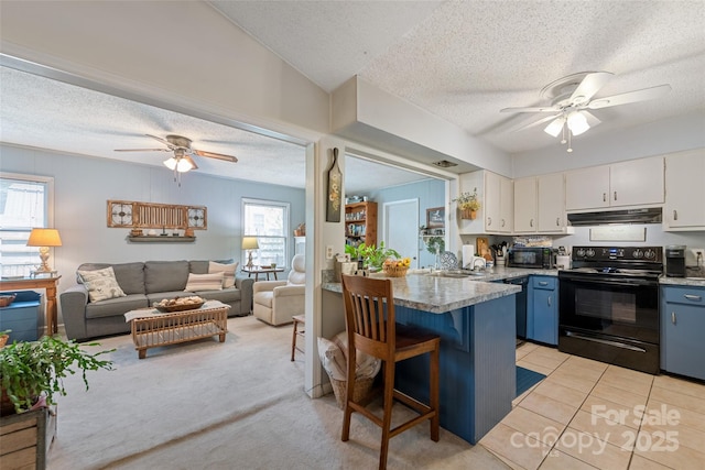 16 Fieldstone Ct, Arden, NC 28704 - kitchen with black appliances, ceiling fan, under cabinet range hood, a textured ceiling, and blue cabinets
