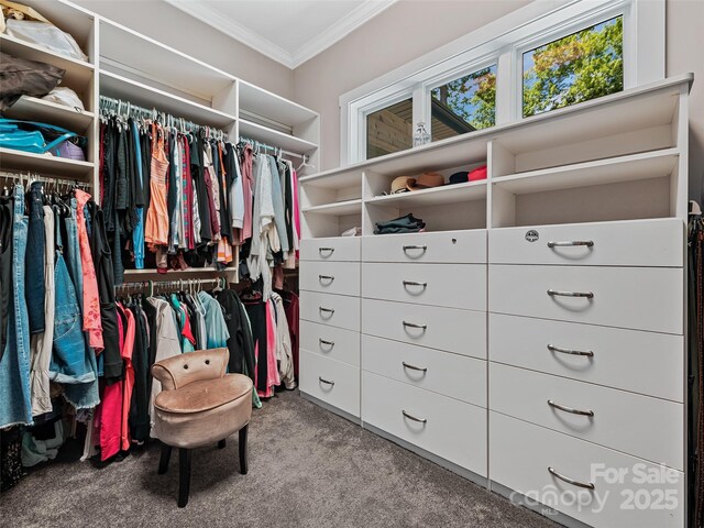 105 Blackberry Ln, Fairview, NC 28730 - walk in closet featuring carpet