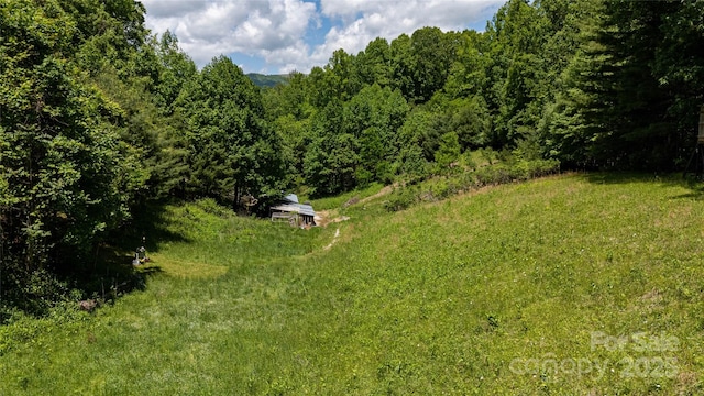 689 Bradford Rd, Burnsville, NC 28714 - photo 9