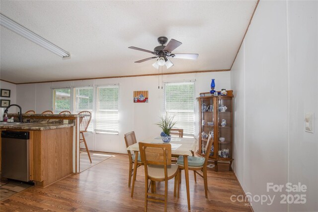 689 Bradford Rd, Burnsville, NC 28714 - photo 13