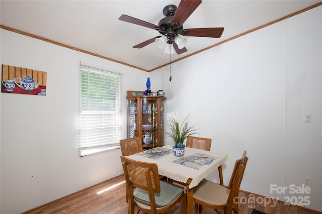 689 Bradford Rd, Burnsville, NC 28714 - photo 15