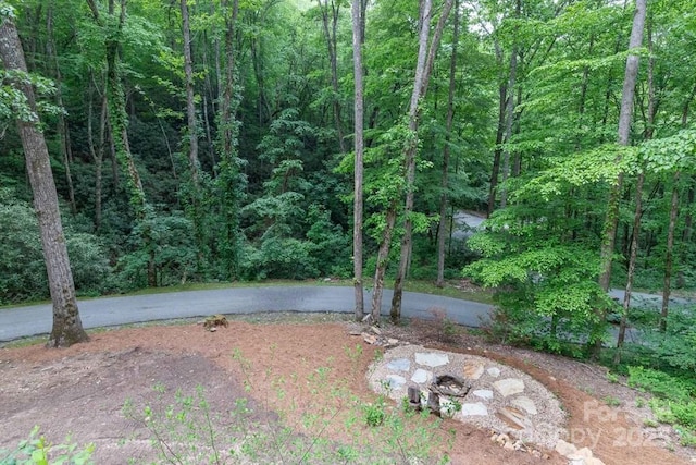 45 Boulder Creek Ln Unit 28, Tuckasegee, NC 28783 - view of yard featuring a view of trees and driveway