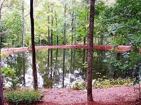 45 Boulder Creek Ln Unit 28, Tuckasegee, NC 28783 - water view with a forest