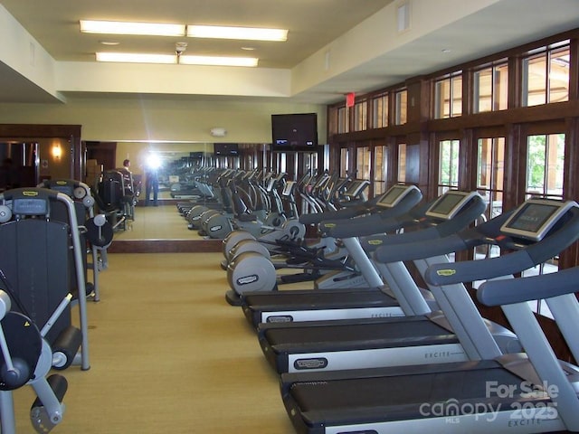 45 Boulder Creek Ln Unit 28, Tuckasegee, NC 28783 - view of gym