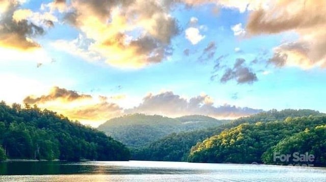 45 Boulder Creek Ln Unit 28, Tuckasegee, NC 28783 - water view featuring a forest