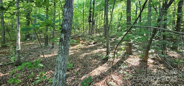 LOT71 Serpentine Dr Unit 71, Columbus, NC 28722