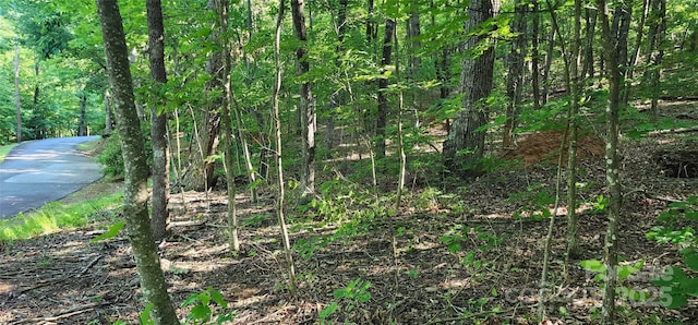 LOT71 Serpentine Dr Unit 71, Columbus, NC 28722