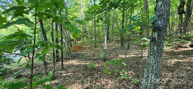 LOT71 Serpentine Dr Unit 71, Columbus, NC 28722