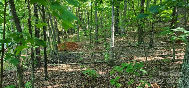 LOT71 Serpentine Dr Unit 71, Columbus, NC 28722