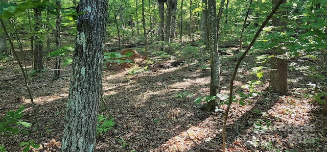 LOT71 Serpentine Dr Unit 71, Columbus, NC 28722