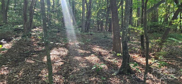 LOT71 Serpentine Dr Unit 71, Columbus, NC 28722