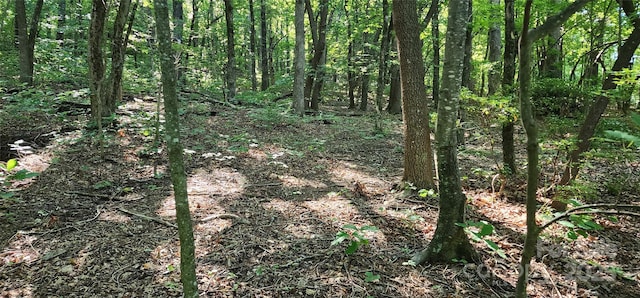 LOT71 Serpentine Dr Unit 71, Columbus, NC 28722