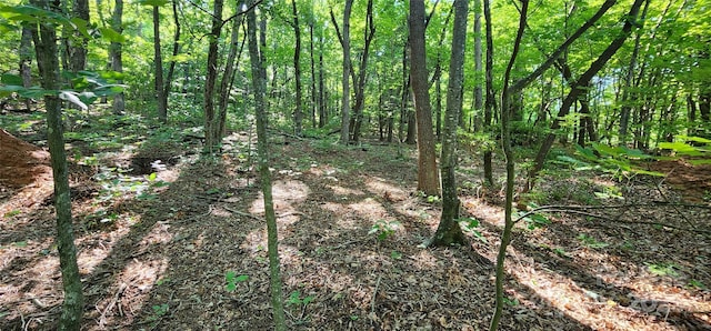 LOT71 Serpentine Dr Unit 71, Columbus, NC 28722