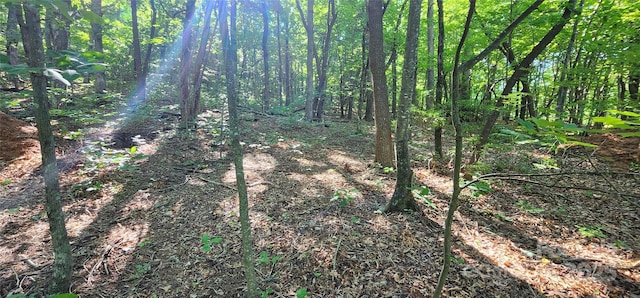 LOT71 Serpentine Dr Unit 71, Columbus, NC 28722