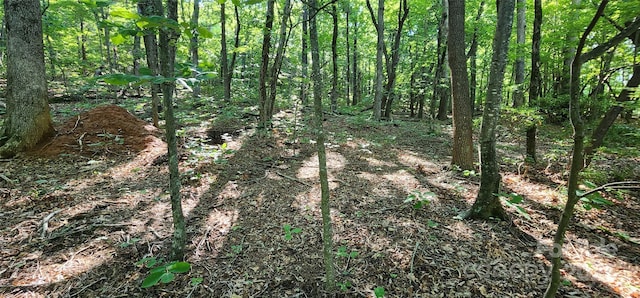 LOT71 Serpentine Dr Unit 71, Columbus, NC 28722