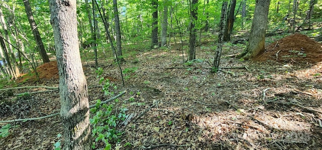 LOT71 Serpentine Dr Unit 71, Columbus, NC 28722