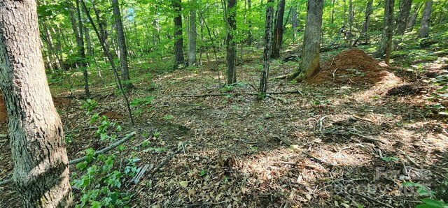 LOT71 Serpentine Dr Unit 71, Columbus, NC 28722