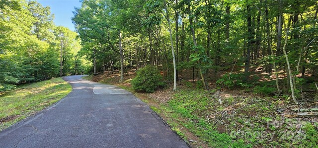 LOT71 Serpentine Dr Unit 71, Columbus, NC 28722