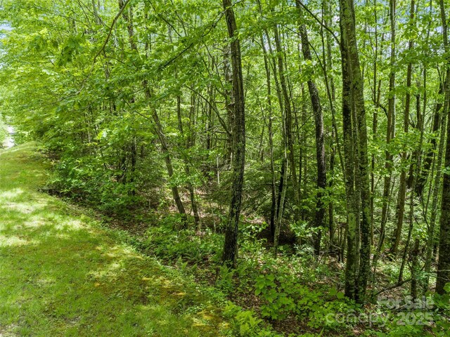000 N Ridge Runner Rd Unit 92, Burnsville, NC 28714 - photo 1