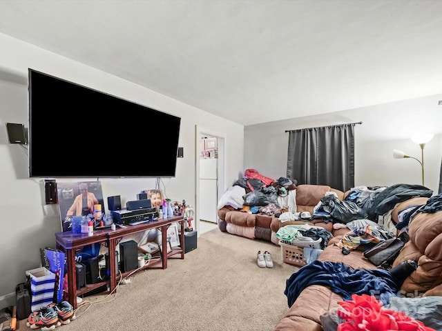 1004 E 8th Ave, Gastonia, NC 28054 - view of carpeted living area