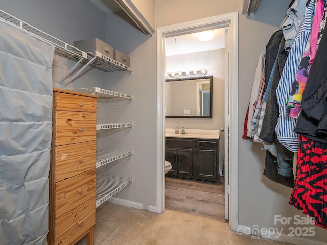 8208 Cedar Glen Dr, Charlotte, NC 28212 - walk in closet featuring light carpet and a sink
