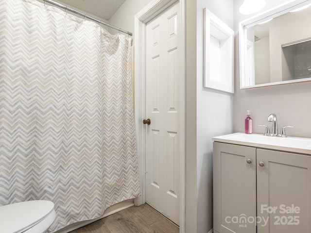 8208 Cedar Glen Dr, Charlotte, NC 28212 - bathroom featuring wood finished floors, vanity, and toilet