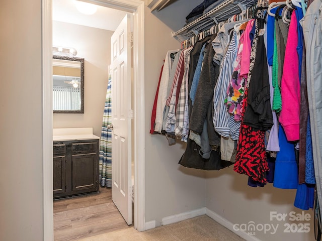 8208 Cedar Glen Dr, Charlotte, NC 28212 - view of walk in closet