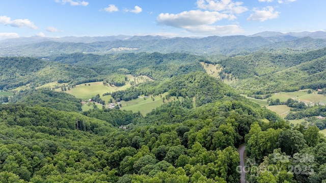 10 Poplar Path, Mars Hill, NC 28754