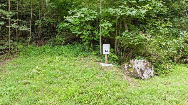 10 Poplar Path, Mars Hill, NC 28754