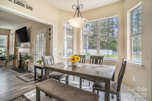 203 Alyssum Ct, Myrtle Beach, SC 29579 - dining room featuring healthy amount of natural light, wood finished floors, a warm lit fireplace, baseboards, and a textured ceiling