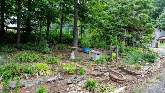 2951 Evergreen Trl, Vale, NC 28168 - view of yard