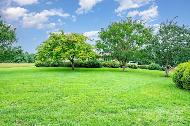 1410 Patterson St, China Grove, NC 28023 - view of grassy yard