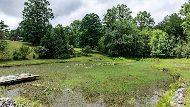 2250 Fitipaldi Dr, Morganton, NC 28655 - photo 38