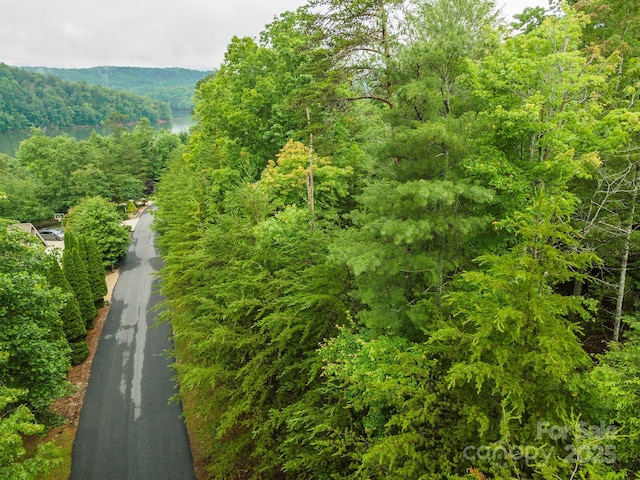 209 Harborside Dr, Nebo, NC 28761