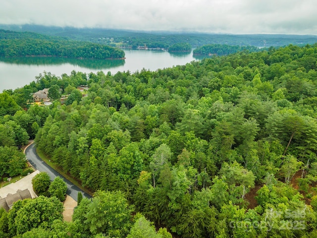 209 Harborside Dr, Nebo, NC 28761